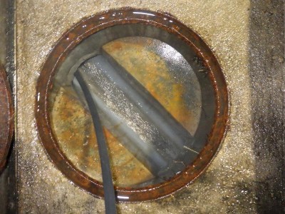 RIMG5918.jpg